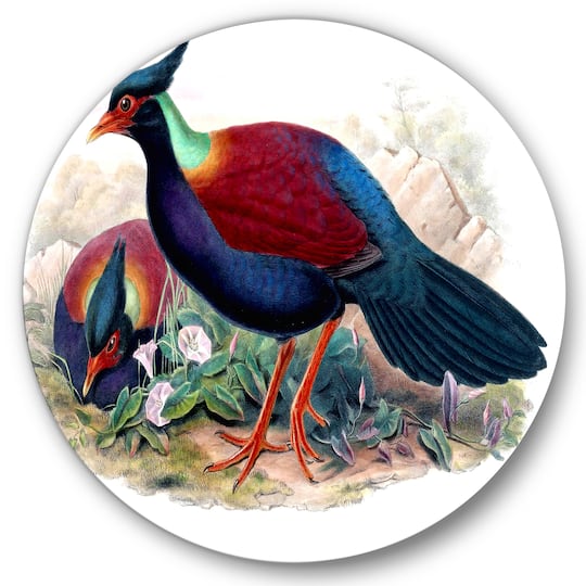 Designart - Vintage Birds In The Wild II - Traditional Metal Circle Wall Art
